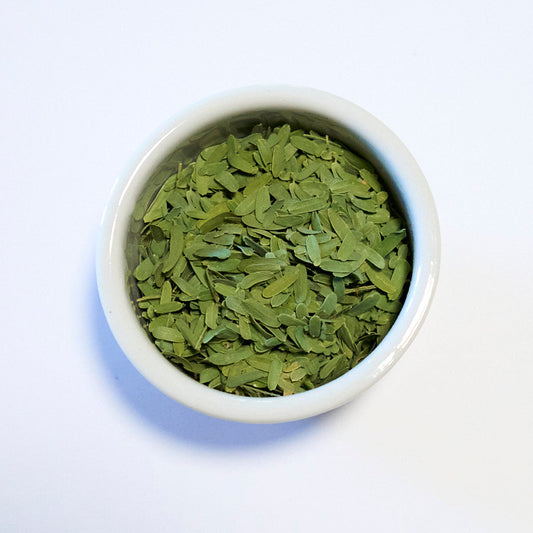 White bowl filled with green leafy mesquite leaves on a white background