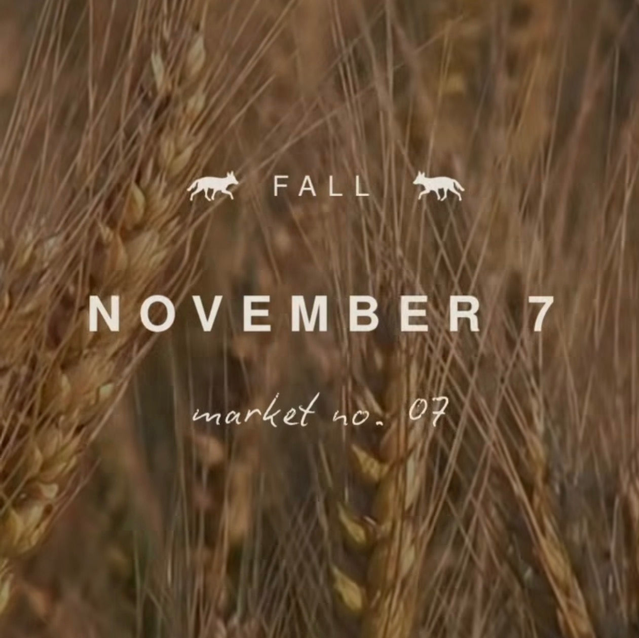 A warm-toned wheat field background with overlaid text reading 'FALL NOVEMBER 7 Tanque Verde market no. 07' and small wolf silhouettes above the text.